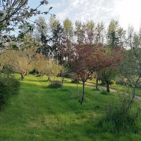 En Pleine Nature Au Bord D'un Etang Chalet
