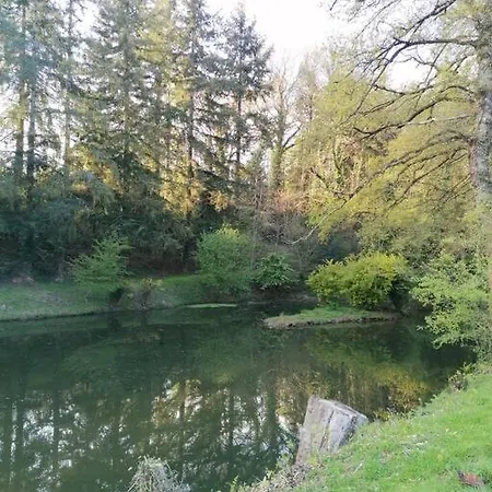En Pleine Nature Au Bord D'un Etang *
